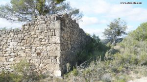 Finca rústica en Maella a buen precio con pinares