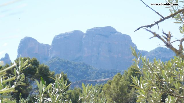 Finca rústica en Horta de San Joan