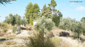 Vendemos Finca rústica en Caspe con casa