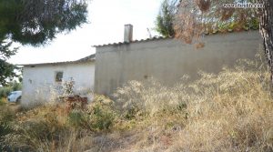 Finca rústica en Caspe en venta con nogales por 22.000€