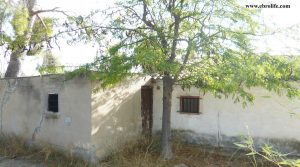 Se vende Finca rústica en Caspe con nogales por 22.000€