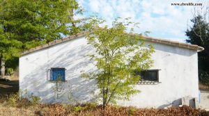 Detalle de Finca rústica en Caspe con nogales por 22.000€