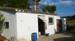 Finca rústica en Caspe para vender con nogales