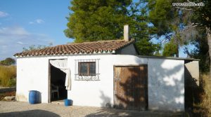 Finca rústica en Caspe para vender con olivos