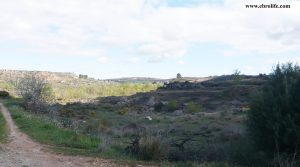 Vendemos Finca rústica de regadío en Castellseras con río por 39.000€