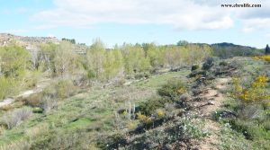 Finca rústica de regadío en Castellseras para vender con agua por 39.000€