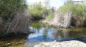 Finca rústica de regadío en Castellseras en oferta con río