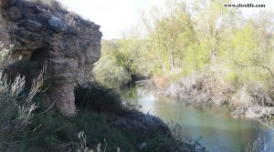 Detalle de Finca rústica de regadío en Castellseras con regadío