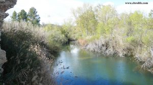 Finca rústica de regadío en Castellseras a buen precio con agua por 39.000€