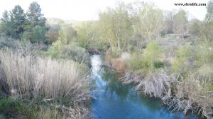 Foto de Finca rústica de regadío en Castellseras en venta con agua