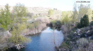 Foto de Finca rústica de regadío en Castellseras con regadío