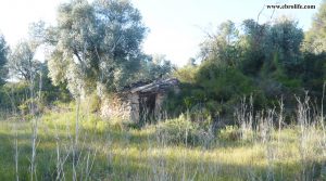 Vendemos Finca rústica junto al río algars en Arnes con río por 24.000€