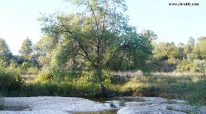 Finca rústica junto al río algars en Arnes para vender con agua por 24.000€