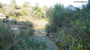 Foto de Finca rústica junto al río algars en Arnes en venta con río