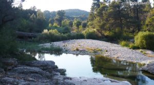 Detalle de Finca rústica junto al río algars en Arnes con pinares por 24.000€