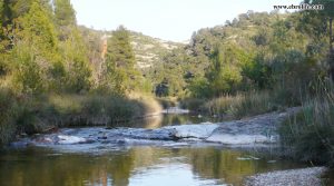 Finca rústica junto al río algars en Arnes en oferta con pinares