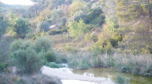 Finca rústica junto al río algars en Arnes en oferta con agua