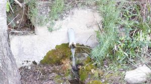 Foto de Finca rústica junto al río algars en Arnes con masía