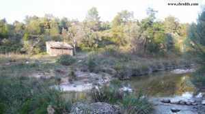 Finca rústica junto al río algars en Arnes en venta con río