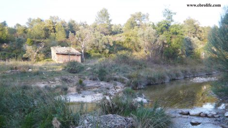 Finca rústica junto al río algars en Arnes