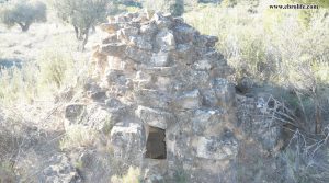 Finca rústica en Fabara a buen precio con olivos