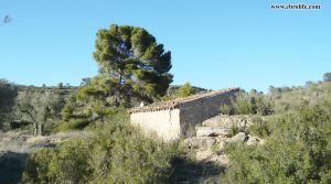 Detalle de Finca rústica en Fabara con balsa