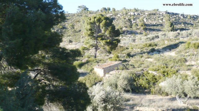 Finca rústica en Fabara