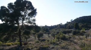 Foto de Finca rústica en Fabara en venta con balsa