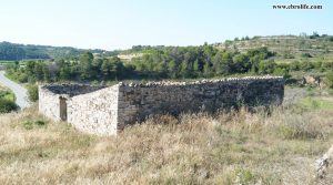 Finca rústica de regadio en Villalba dels Arcs a buen precio con corral por 75.000€