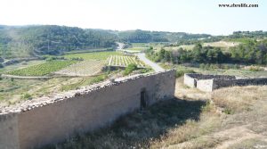 Foto de Finca rústica de regadio en Villalba dels Arcs en venta con regadío por 75.000€