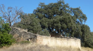 Foto de Finca rústica en Cretas en venta con pinares