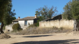 Finca rústica en Cretas a buen precio con olivos por 500.000€