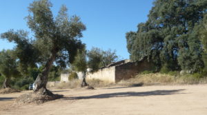 Foto de Finca rústica en Cretas con almacén