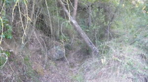 Detalle de Finca rústica en Cretas con agua