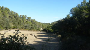 Finca rústica en Cretas para vender con pinares