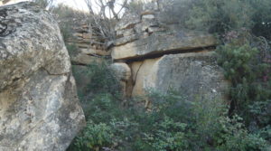 Finca rústica de olivos centenarios en Calaceite en venta con olivos