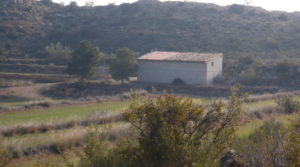 Detalle de Finca de regadío próxima a Caspe con regadío