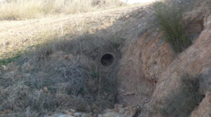 Foto de Finca de regadío próxima a Caspe con regadío