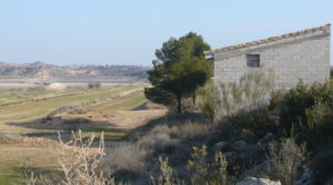 Finca de regadío próxima a Caspe en oferta con agua