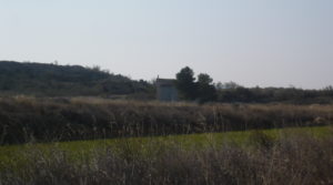 Finca de regadío próxima a Caspe en oferta con embalse