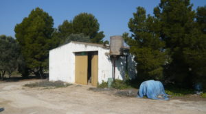 Torre vivienda en la Huerta de Caspe en oferta con casa