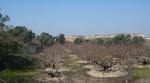 Detalle de Torre vivienda en la Huerta de Caspe con agua