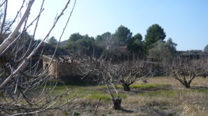 Foto de Torre vivienda en la Huerta de Caspe con río