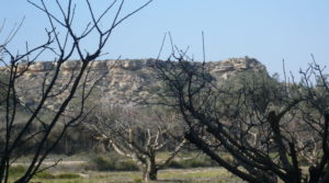 Torre vivienda en la Huerta de Caspe a buen precio con amueblado