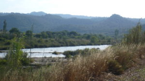 Detalle de Finca en el rio en Batea con 19.42 hectareas