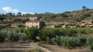 Foto de Finca en el rio en Batea en venta con 19.42 hectareas por 290.000€