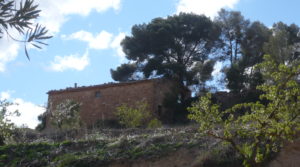 Detalle de Masía de piedra en Masalsinas, Calaceite con olivos