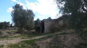 Detalle de Masía de piedra en Masalsinas, Calaceite con almendros por 79000€€