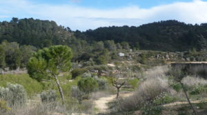 Masía de piedra en Masalsinas, Calaceite en venta con olivos