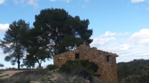 Masía de piedra en Masalsinas, Calaceite a buen precio con olivos por 79000€€